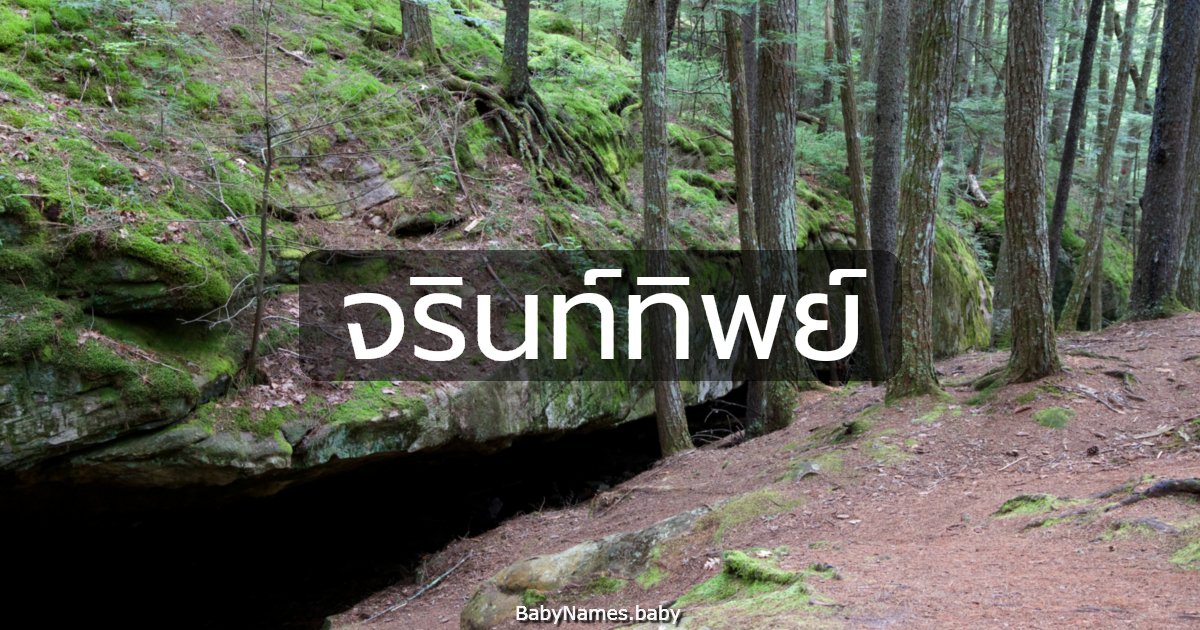 จรินท์ทิพย์