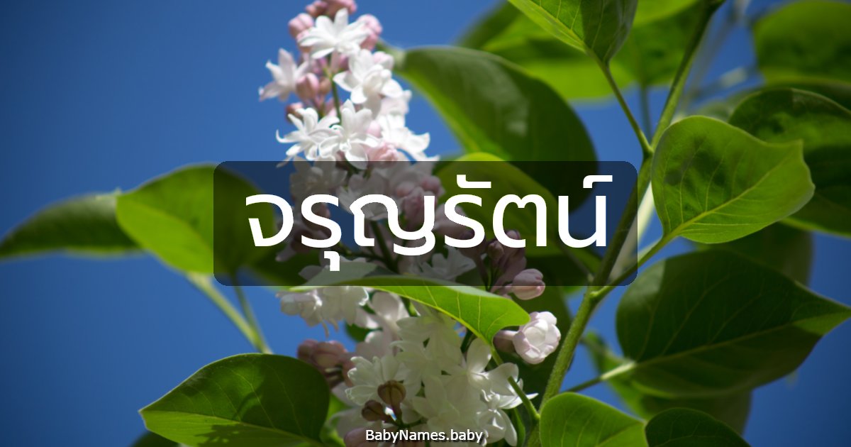 จรุญรัตน์