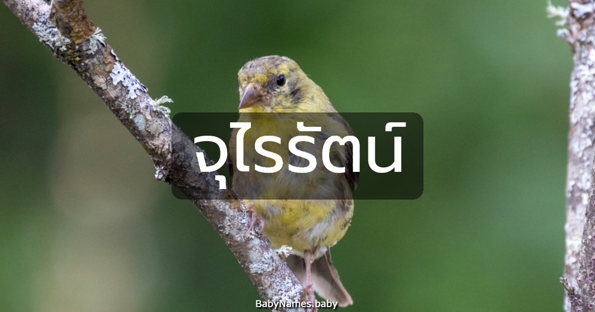 จุไรรัตน์