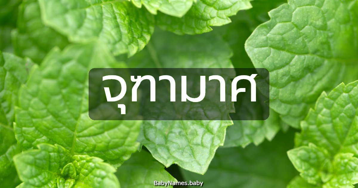 จุฑามาศ