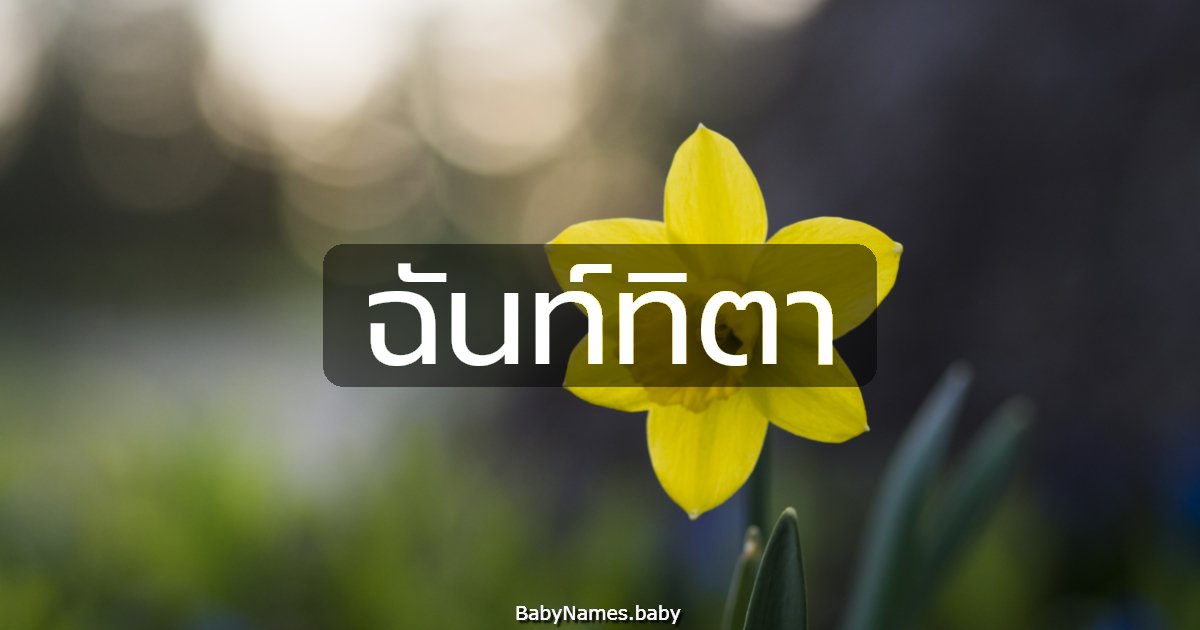 ฉันท์ทิตา