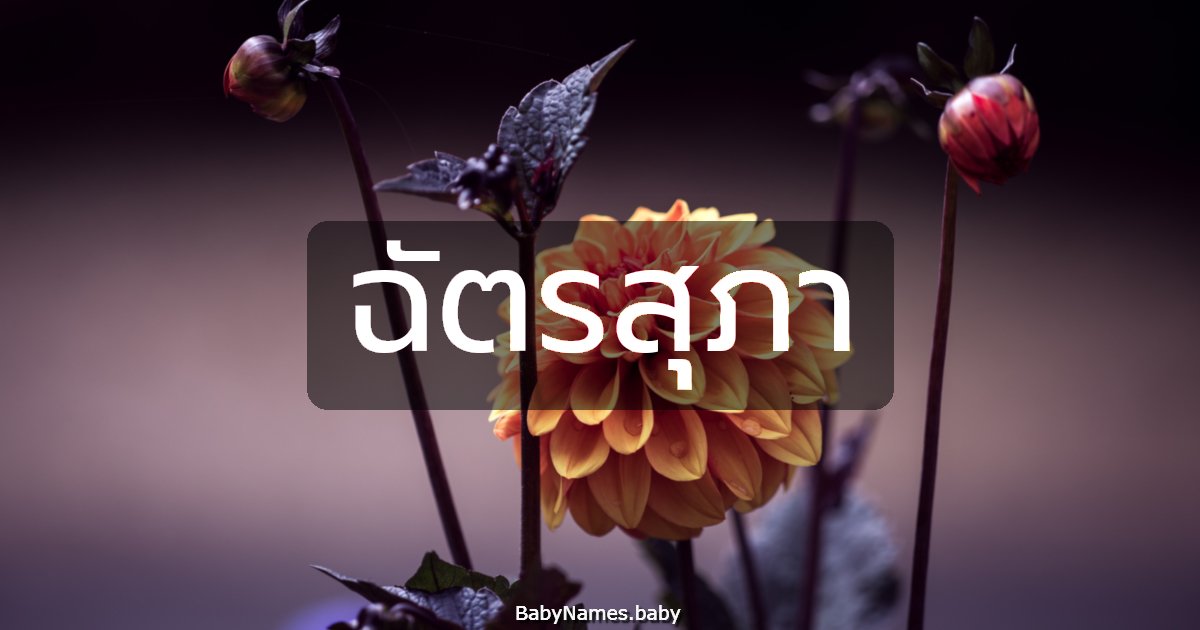 ฉัตรสุภา