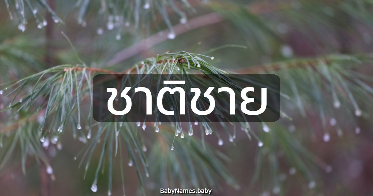 ชาติชาย