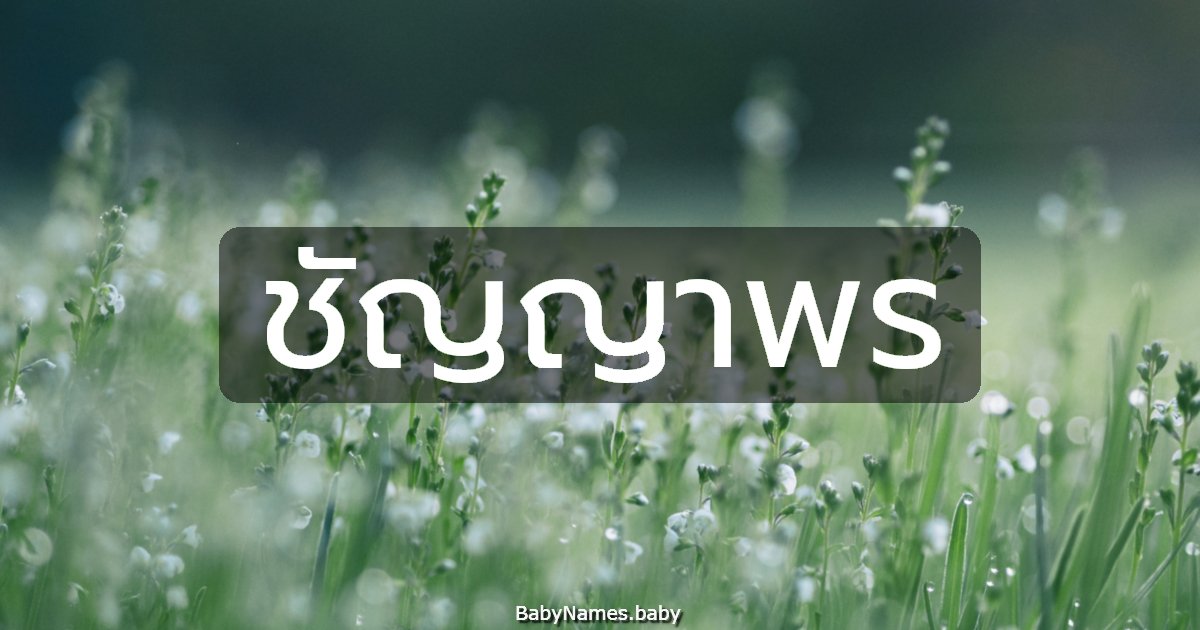 ชัญญาพร