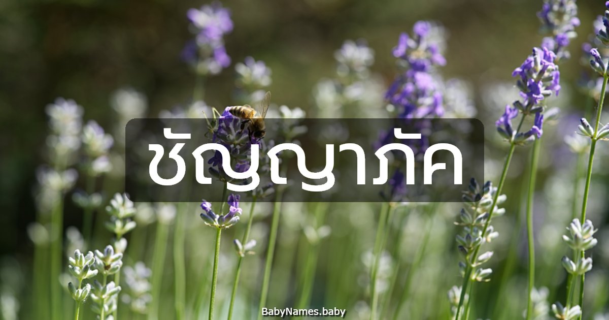 ชัญญาภัค