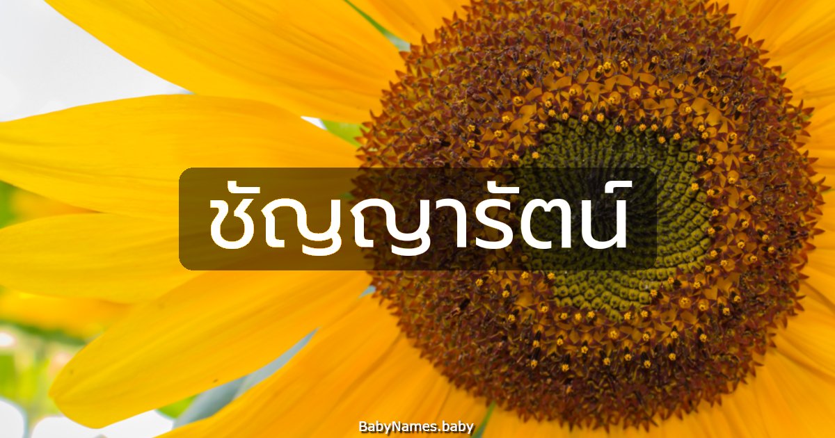 ชัญญารัตน์