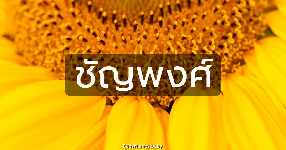 ชัญพงศ์