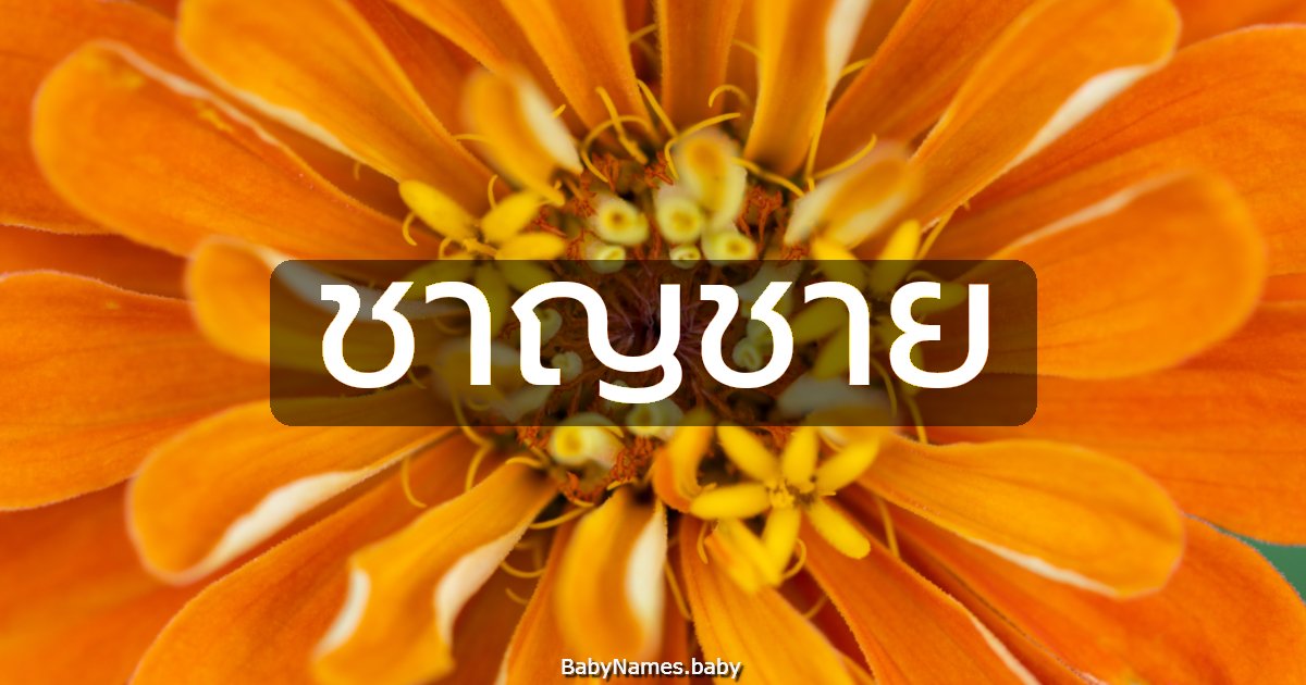 ชาญชาย