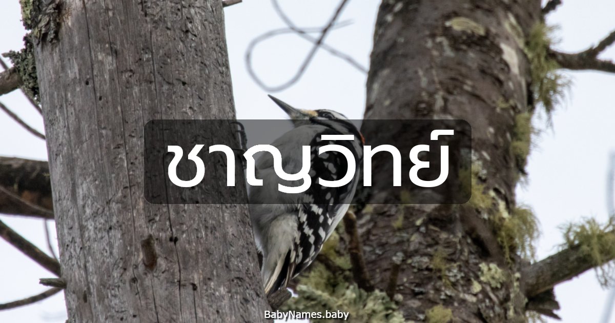 ชาญวิทย์