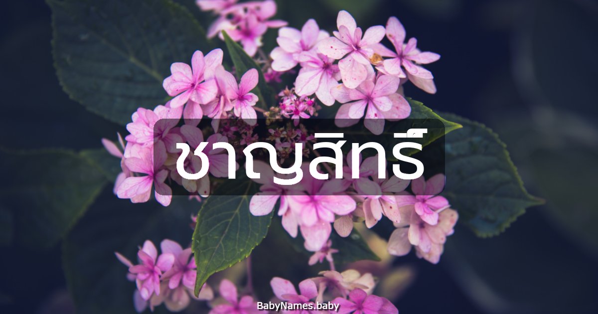 ชาญสิทธิ์