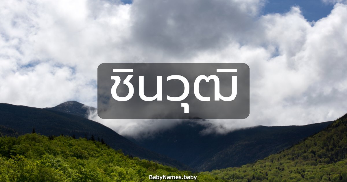 ชินวุฒิ