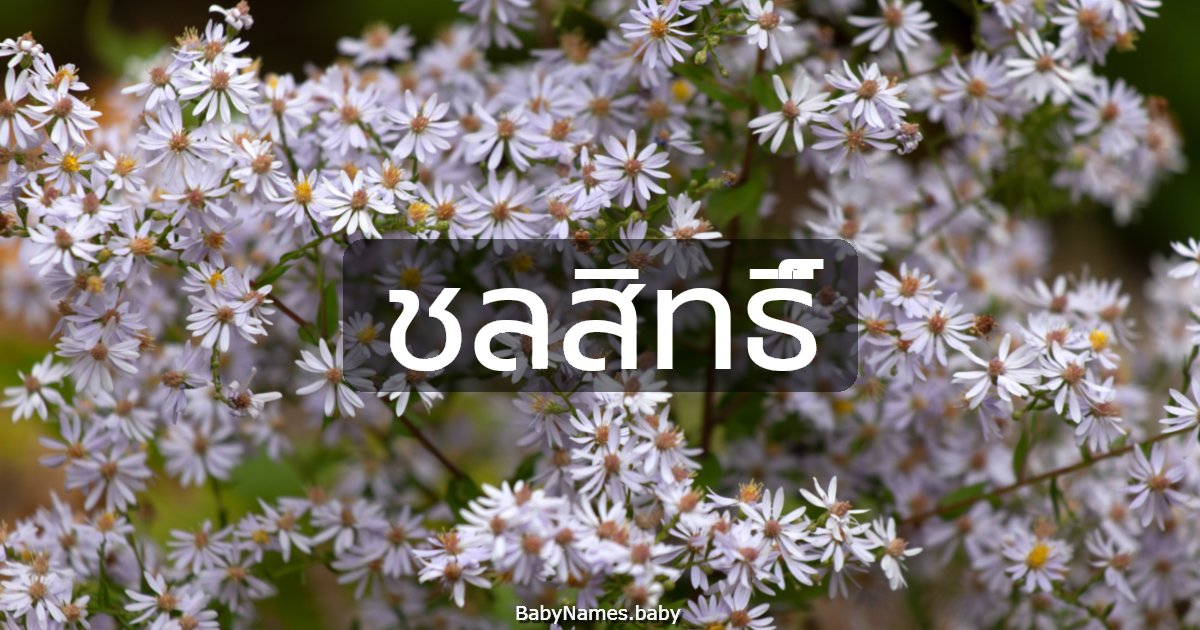 ชลสิทธิ์