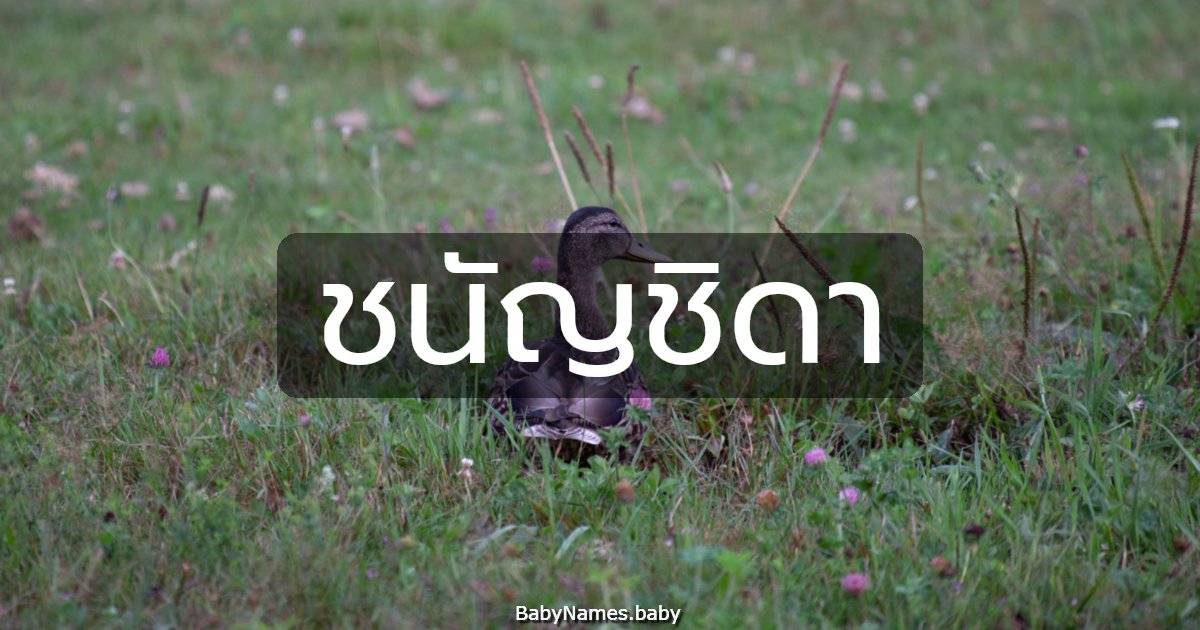 ชนัญชิดา