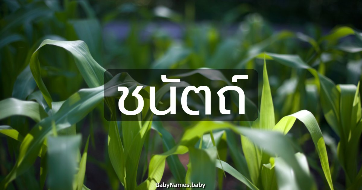 ชนัตถ์