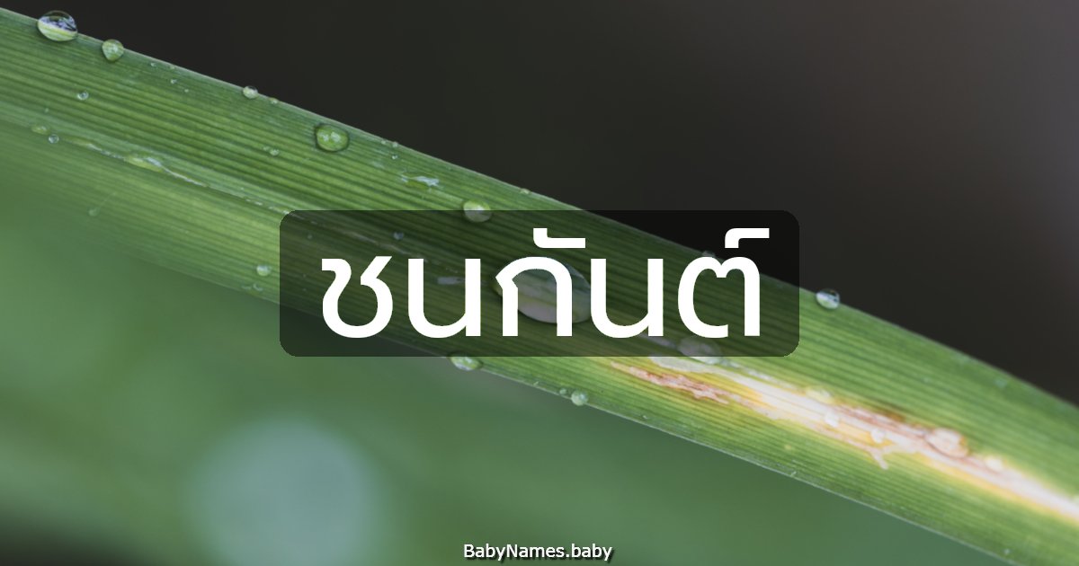 ชนกันต์