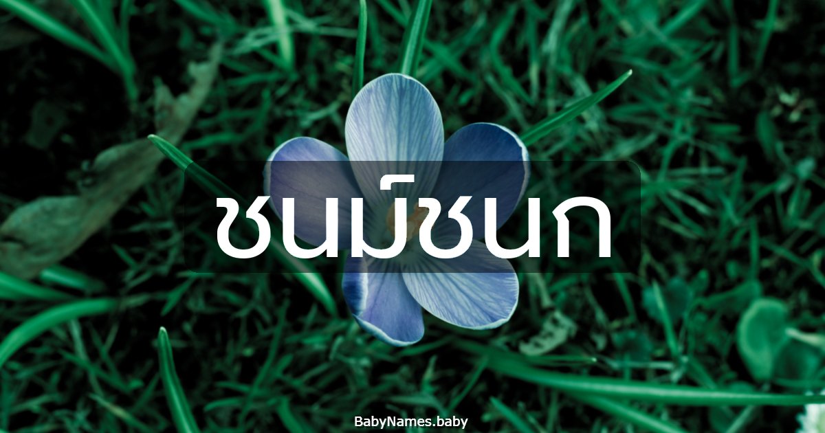 ชนม์ชนก