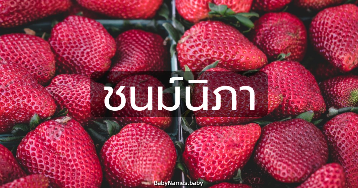 ชนม์นิภา