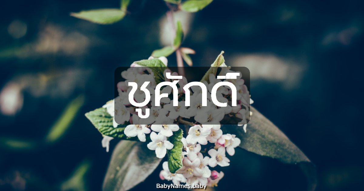 ชูศักดิ์