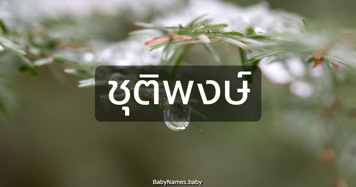 ชุติพงษ์