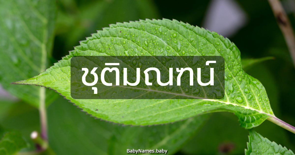 ชุติมณฑน์