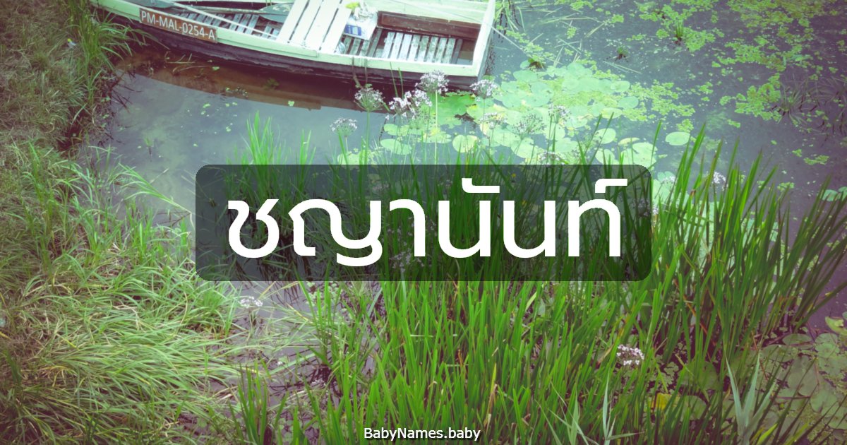 ชญานันท์