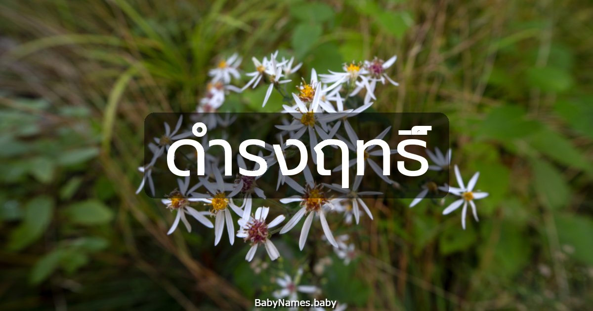 ดำรงฤทธิ์