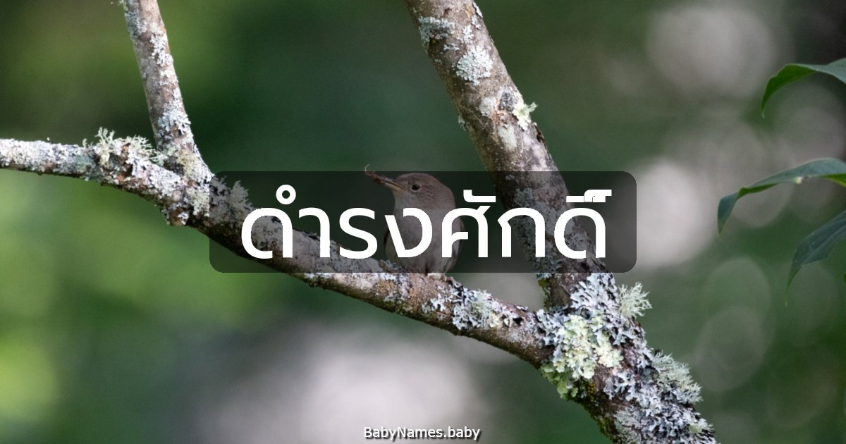 ดำรงศักดิ์