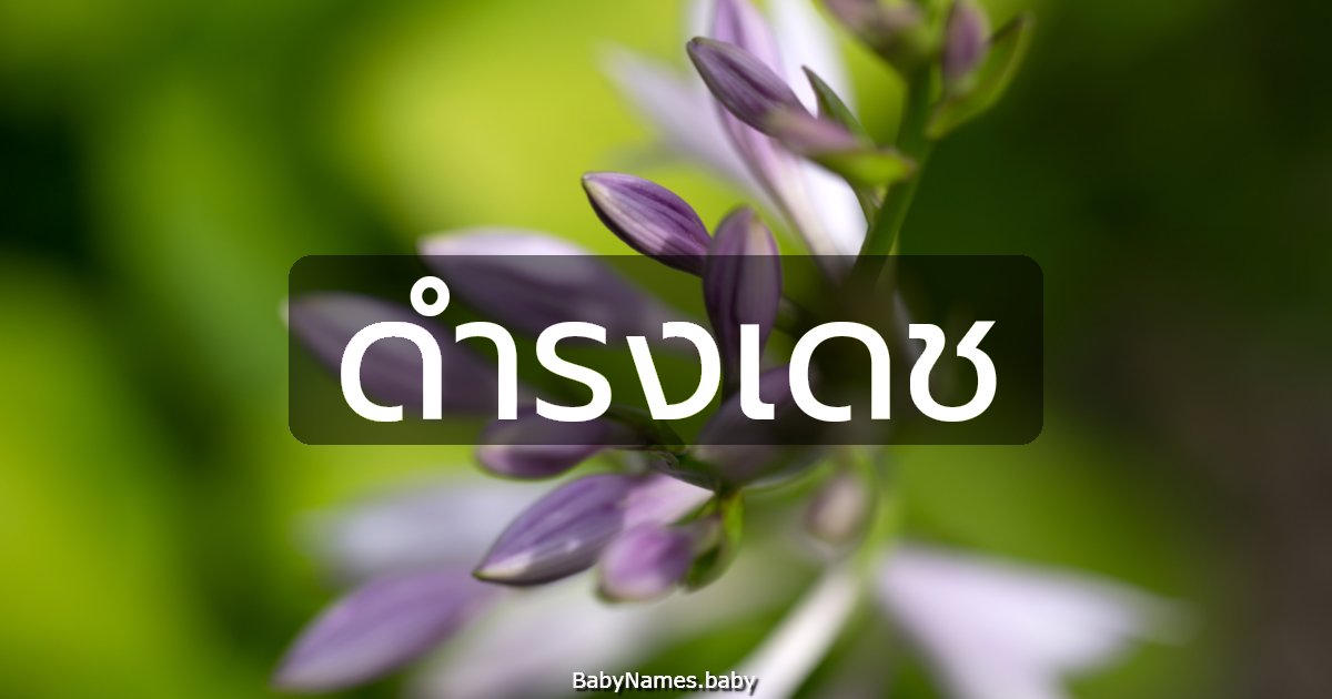 ดำรงเดช