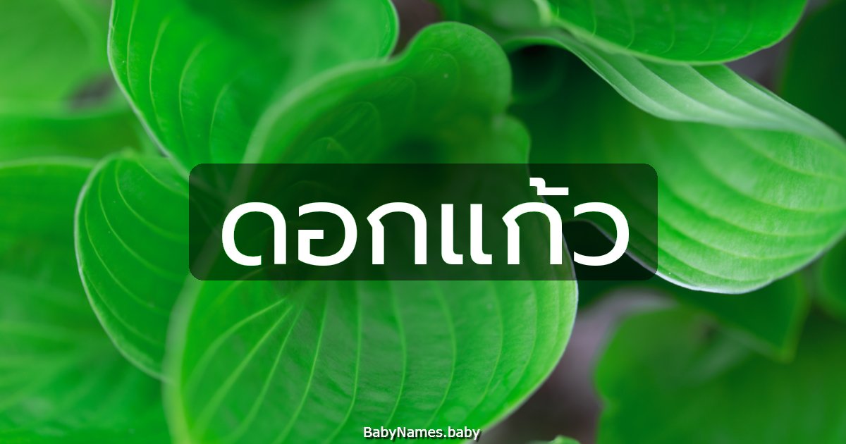 ดอกแก้ว