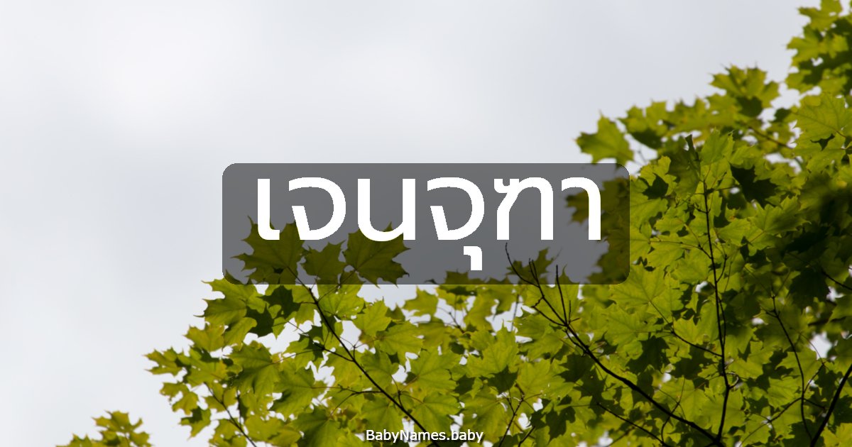 เจนจุฑา