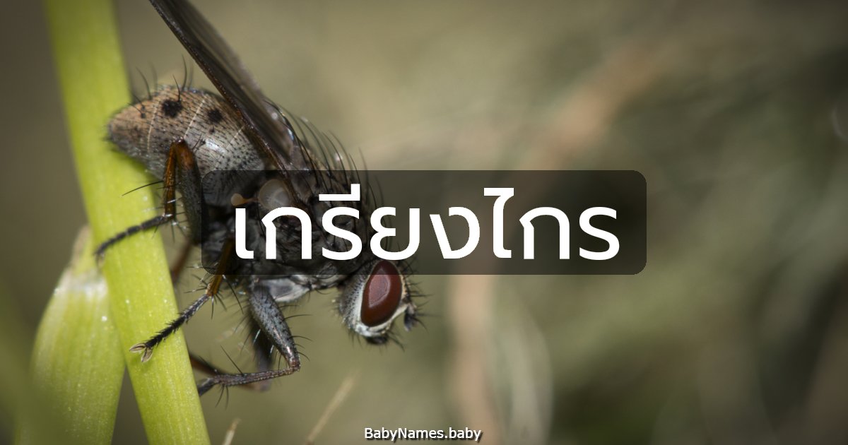 เกรียงไกร