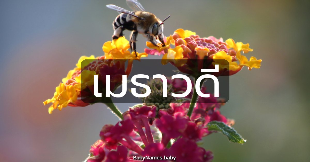 เมธาวดี