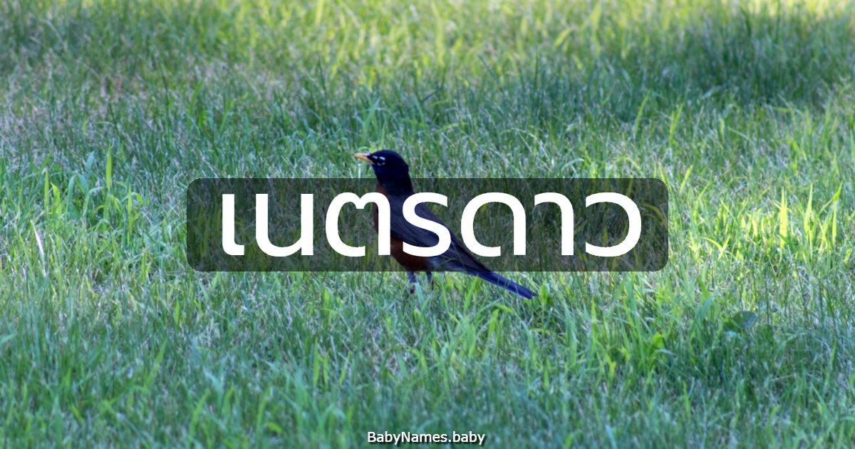 เนตรดาว