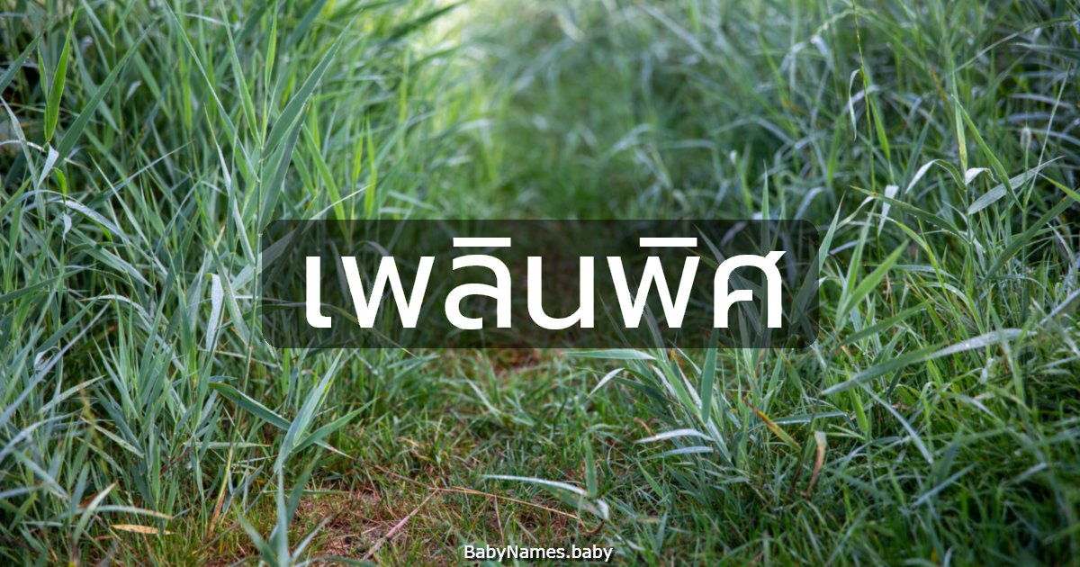 เพลินพิศ