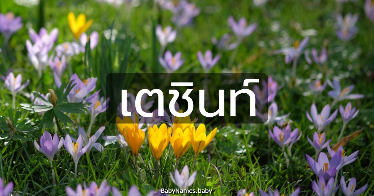 เตชินท์