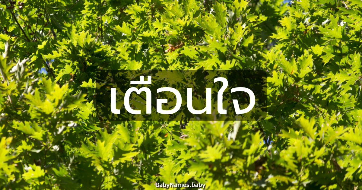 เตือนใจ