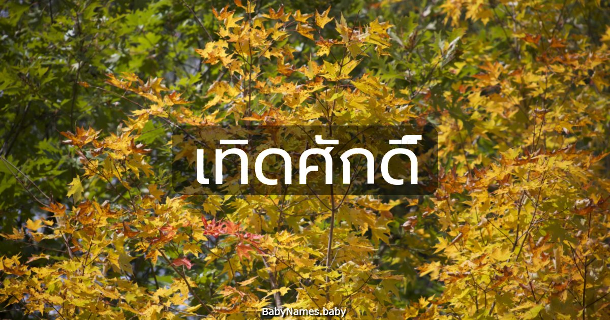 เทิดศักดิ์