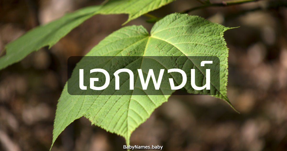 เอกพจน์