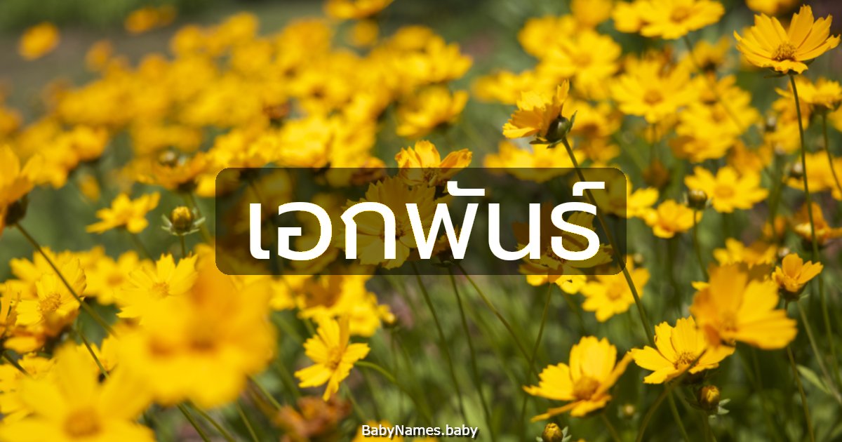 เอกพันธ์