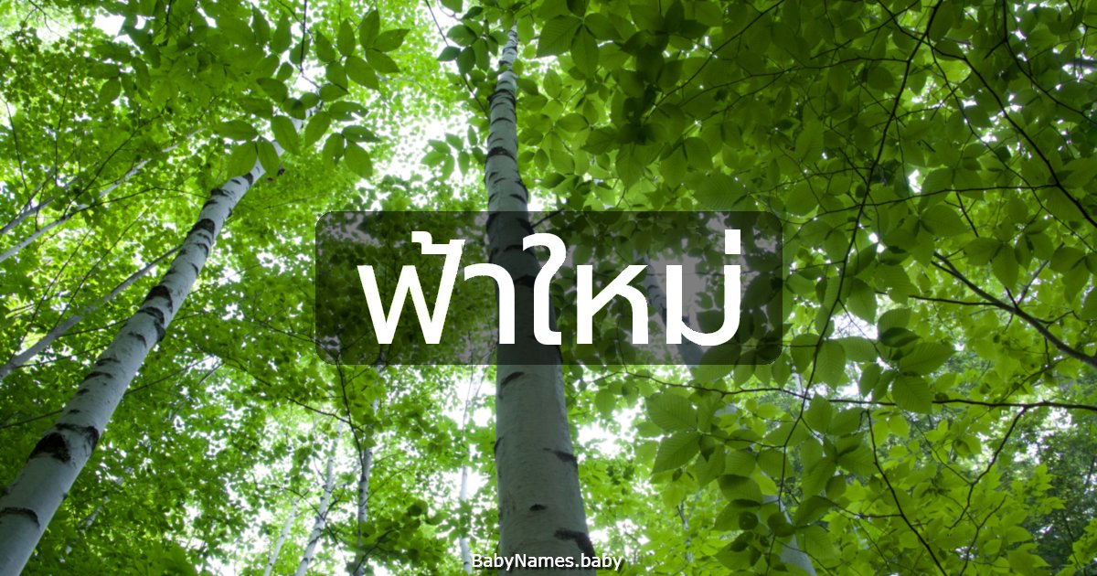 ฟ้าใหม่