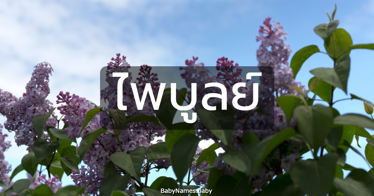 ไพบูลย์