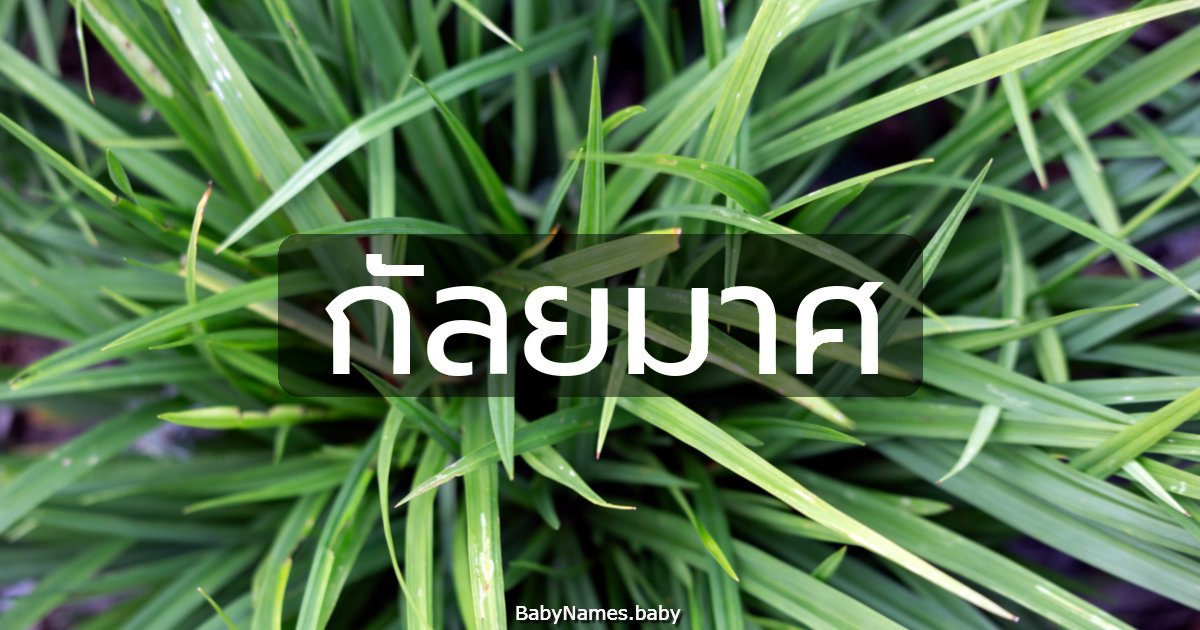 กัลยมาศ