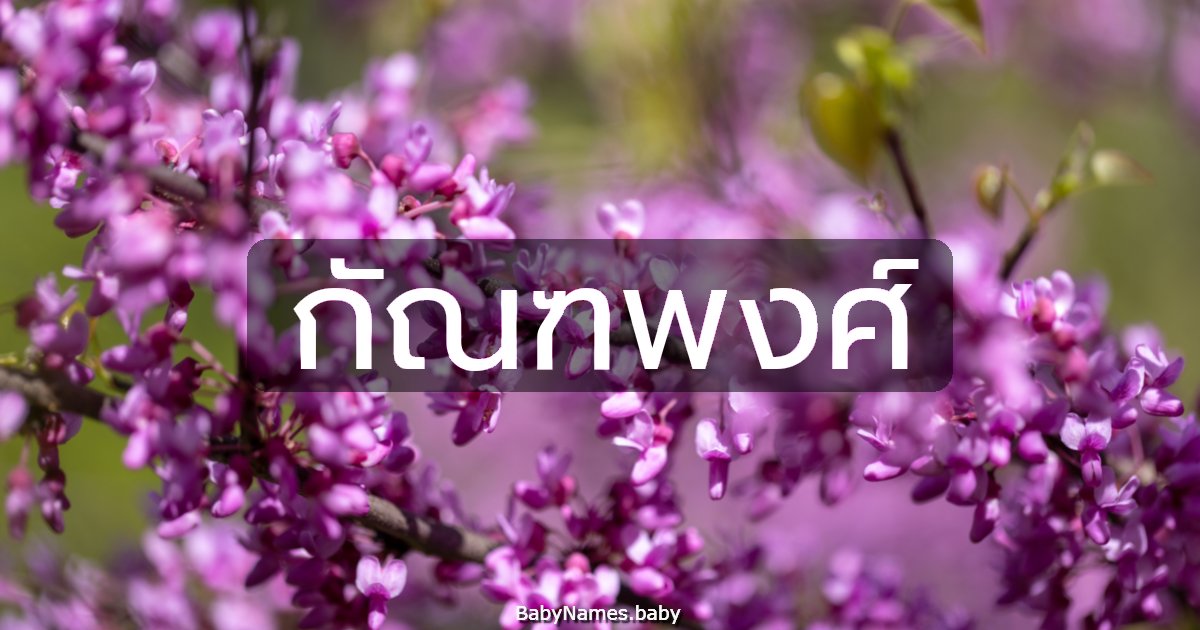 กัณฑพงศ์