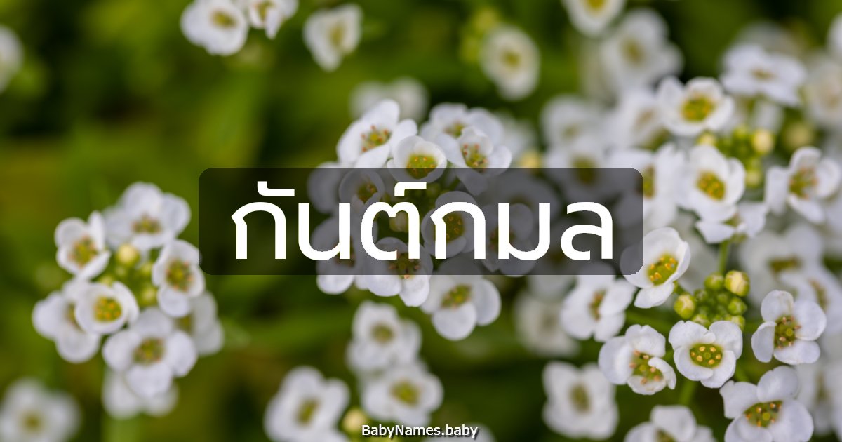 กันต์กมล