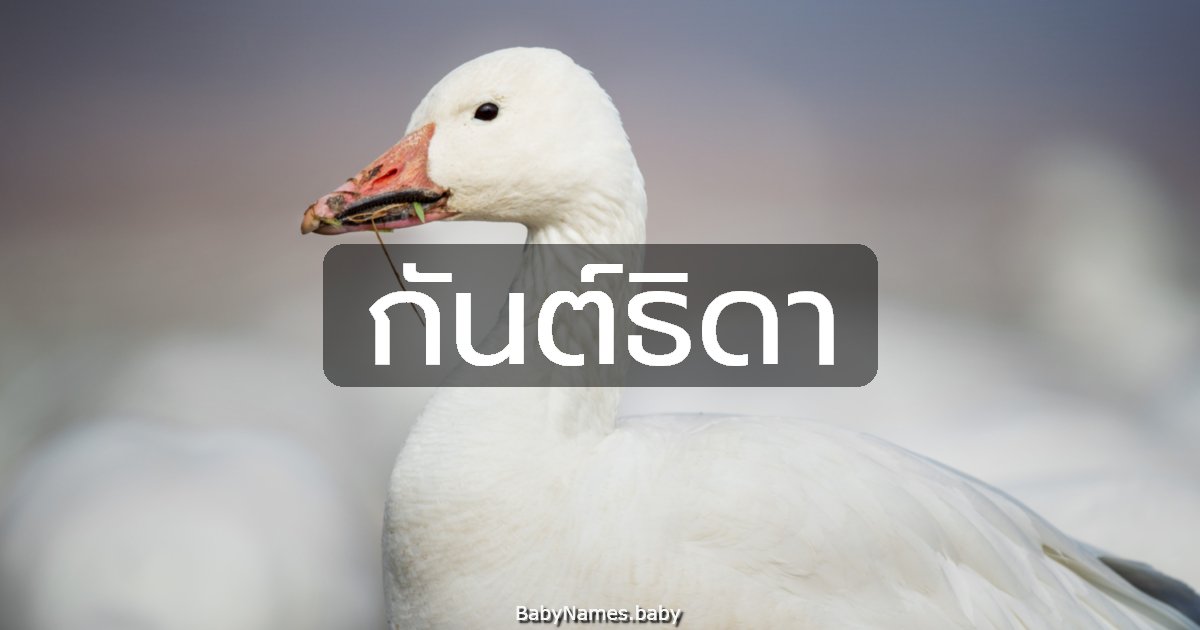 กันต์ธิดา