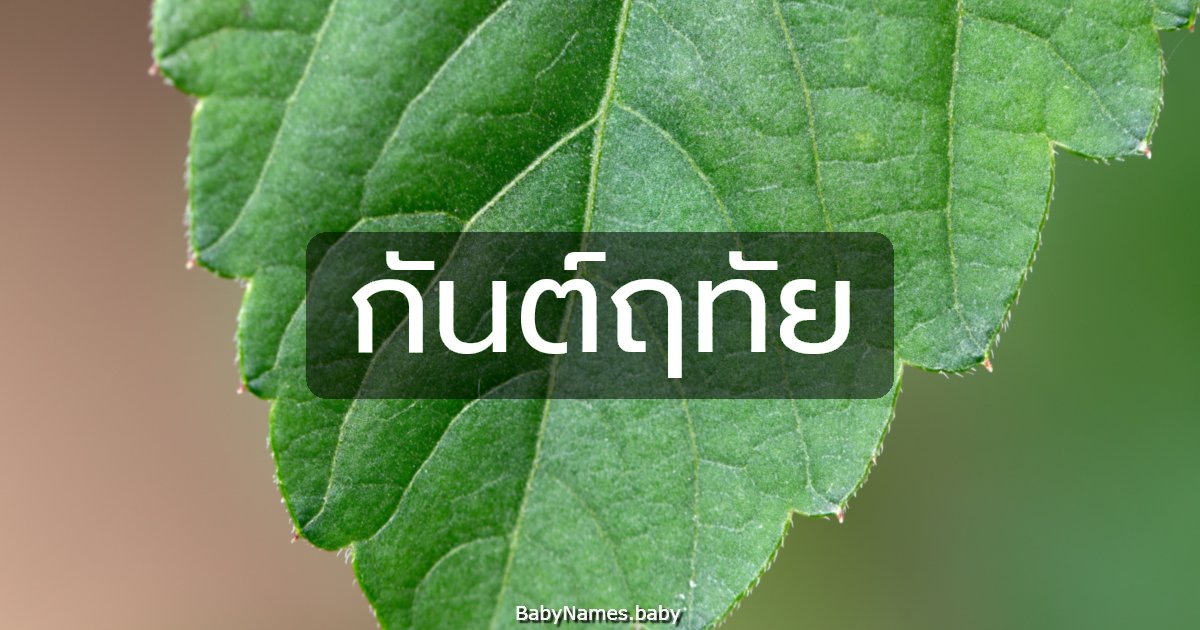 กันต์ฤทัย