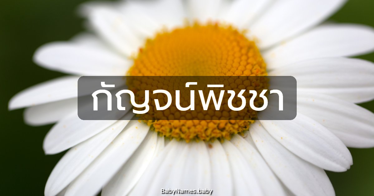 กัญจน์พิชชา