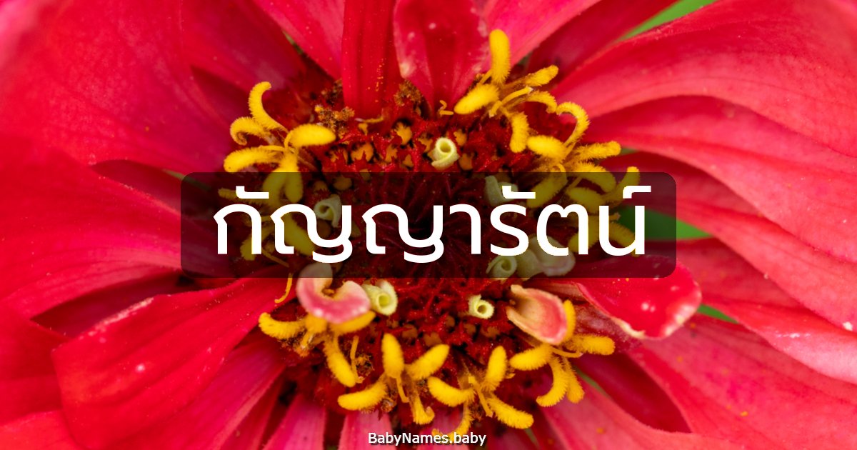 กัญญารัตน์