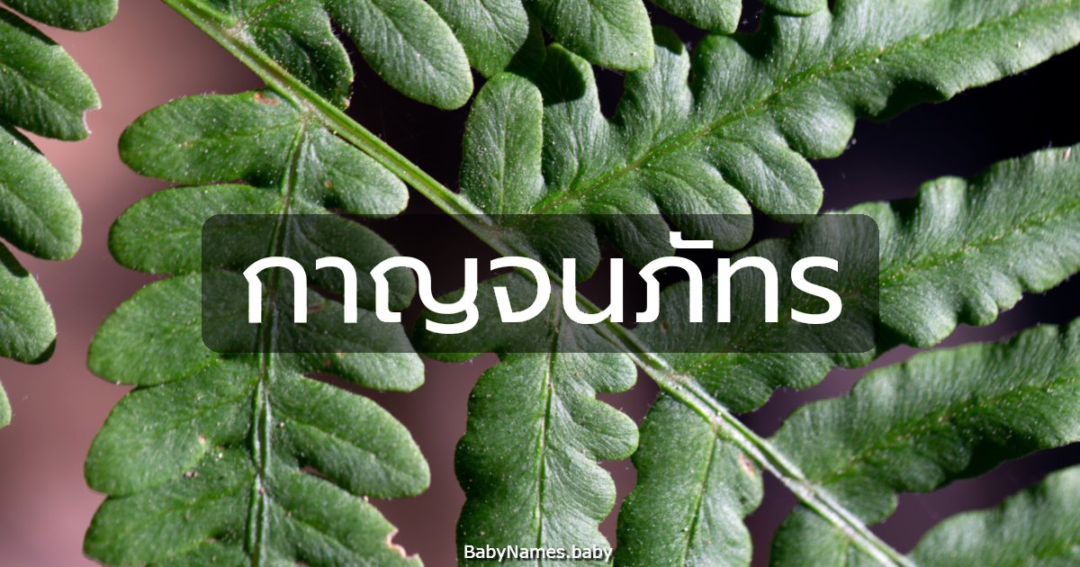 กาญจนภัทร