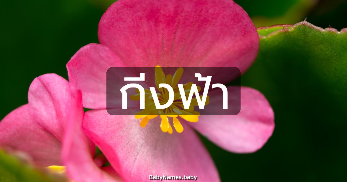 กิ่งฟ้า